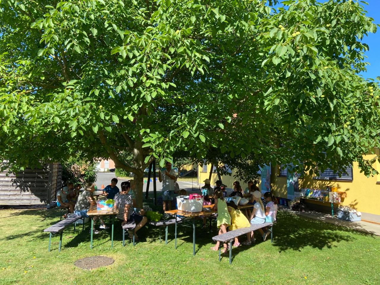Cool Summer From Waste to WOW!