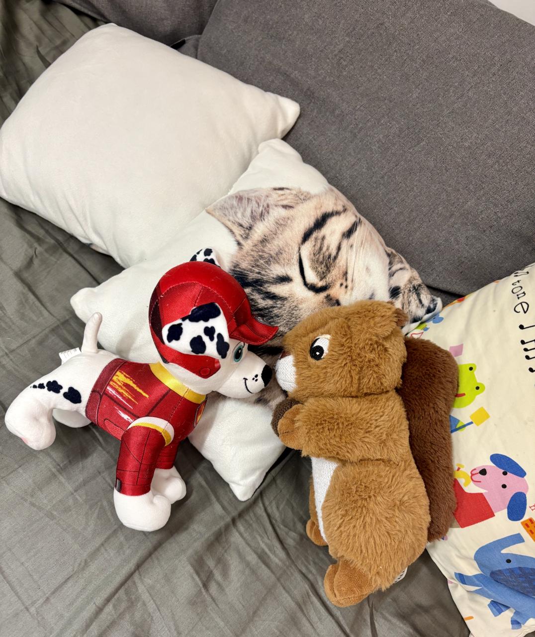 Kuscheltierübernachtungsparty Chase und Eichhörnchen geben sich ein Bussi