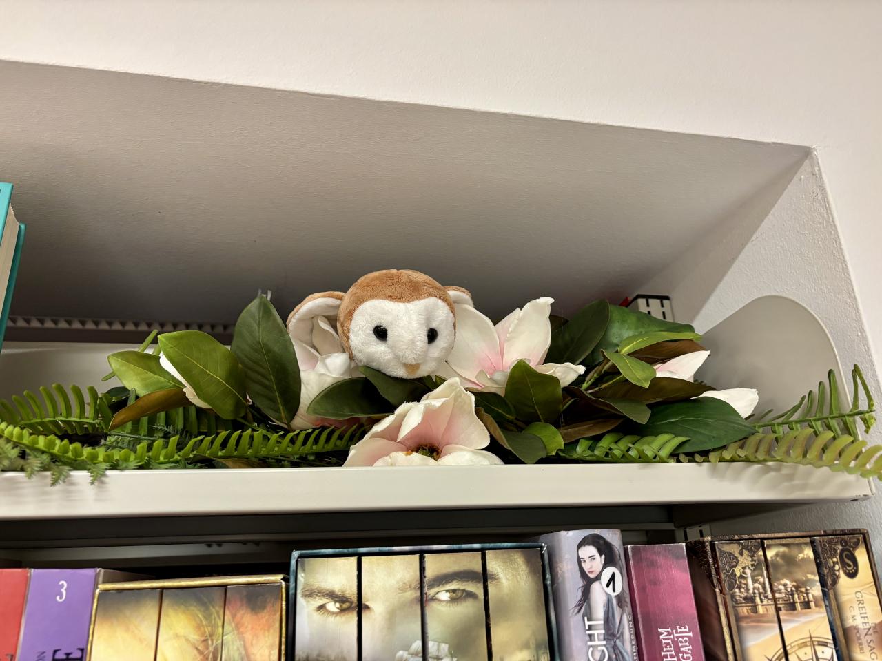 Kuscheltierübernachtungsparty Eule hinter Magnolien