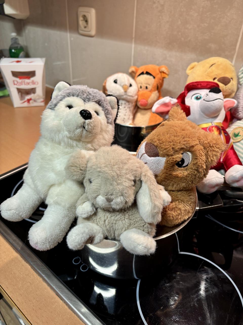 Kuscheltierübernachtungsparty Husky, Hase und Eichhörnchen im Kochtopf