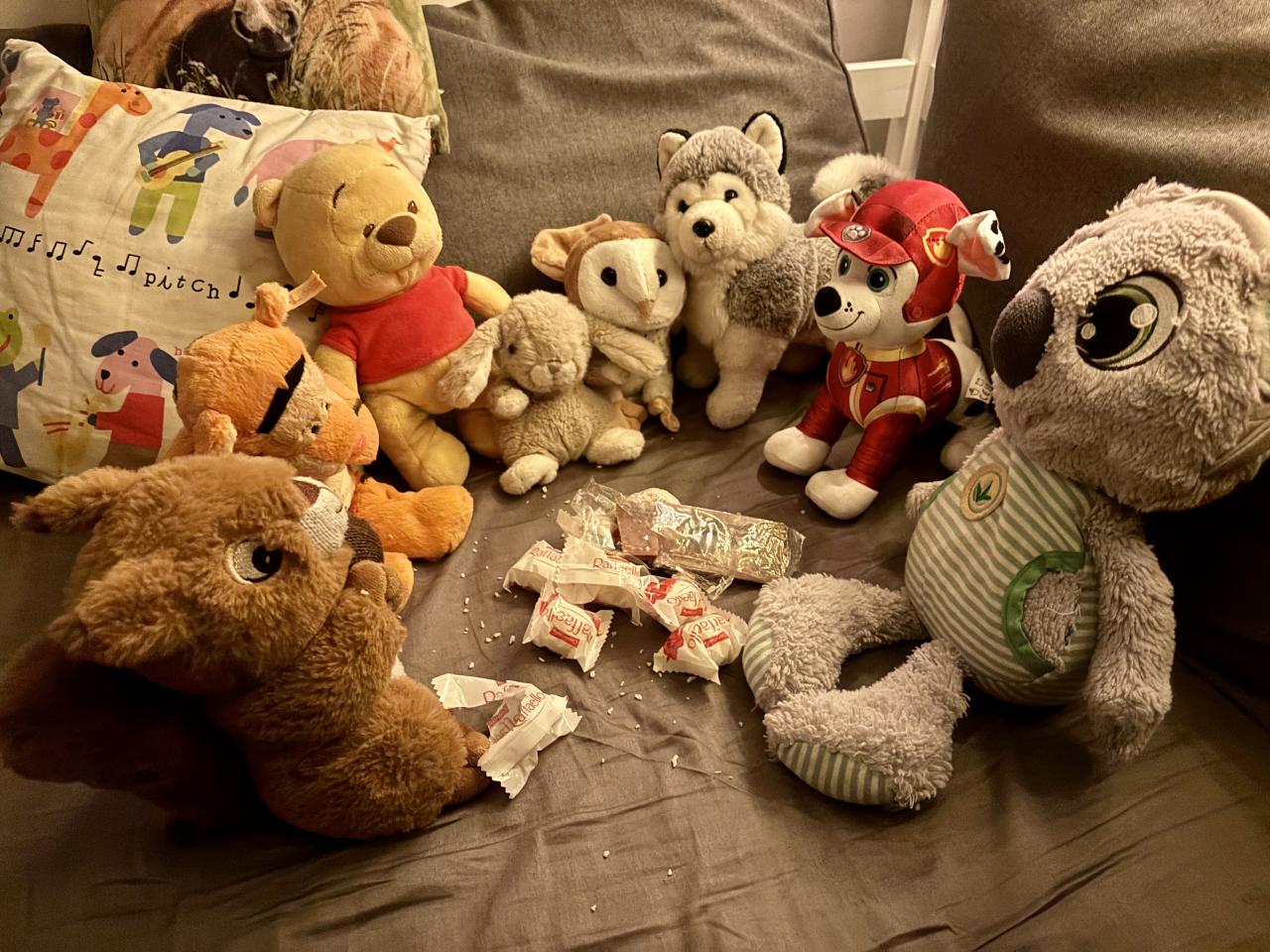 Kuscheltierübernachtungsparty Kuscheltiere am Naschen